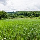 Blick über den Acker