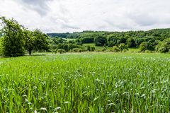 Blick über den Acker