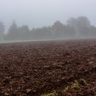 Blick über den Acker