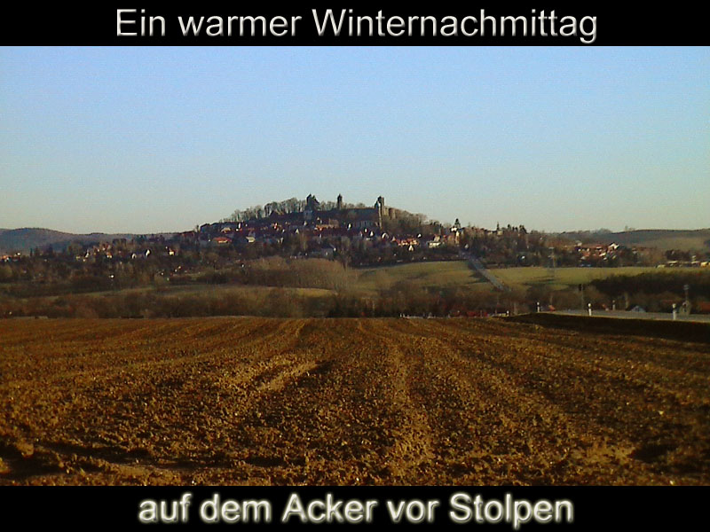 Blick über den Acker zur Burg Stolpen