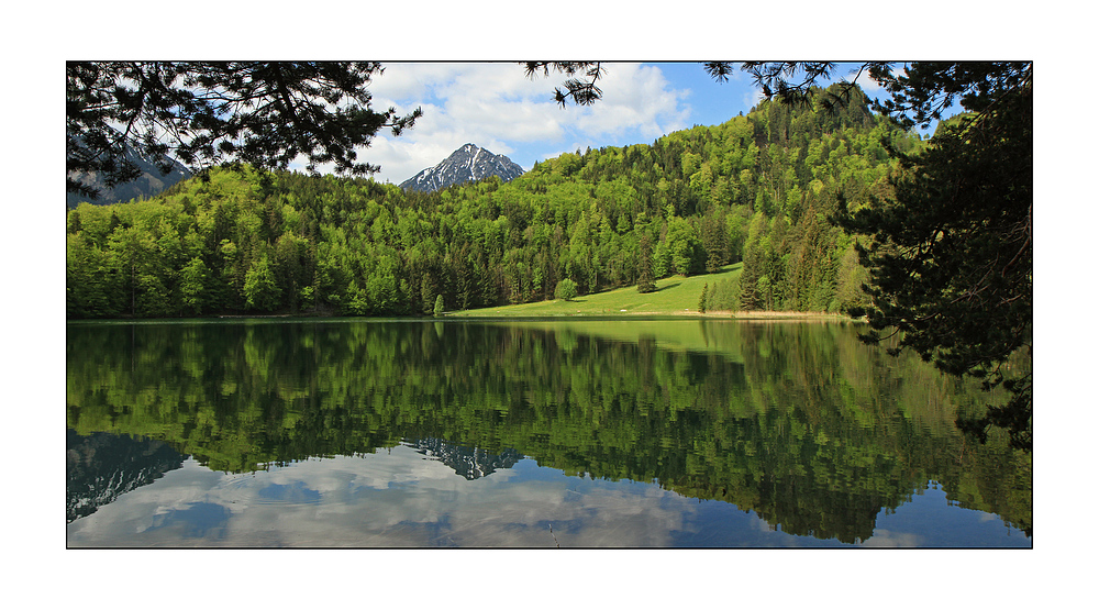 Blick über den Alatsee