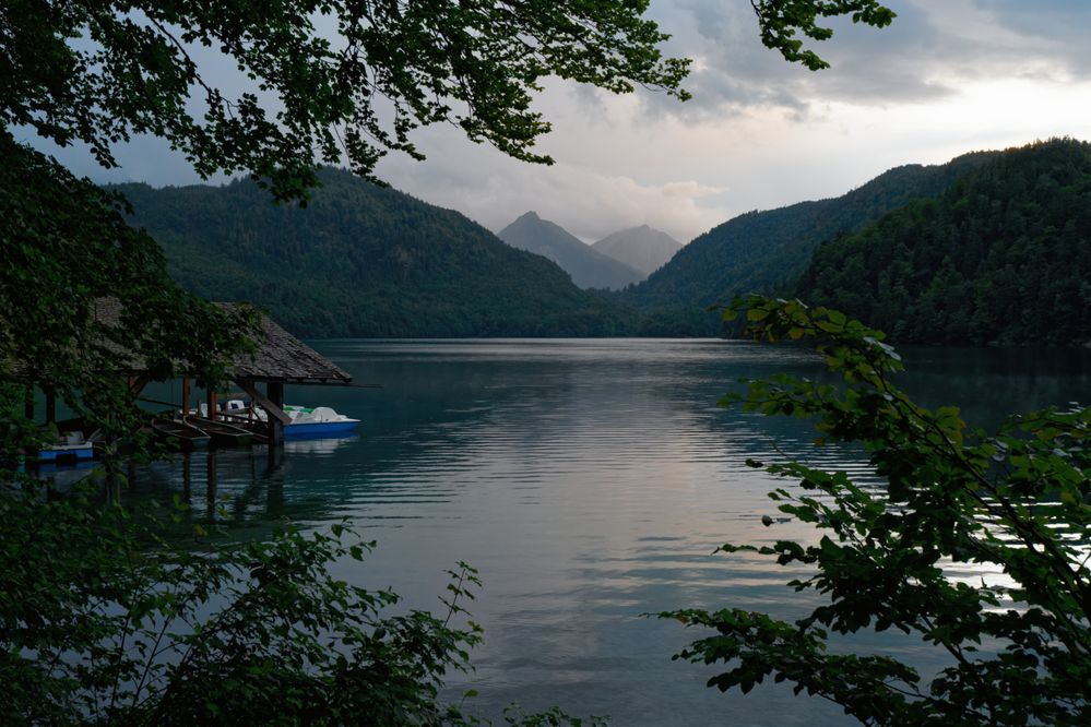 Blick über den Alpsee