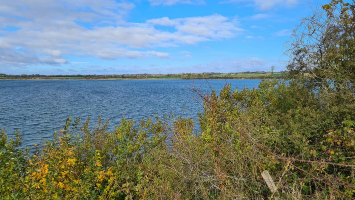 Blick über den Als Fjord...