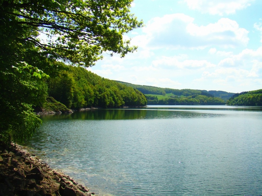 Blick über den Biggesee