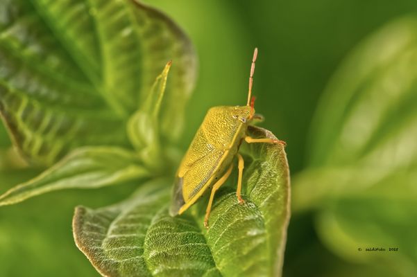 __Blick über den Blattrand__