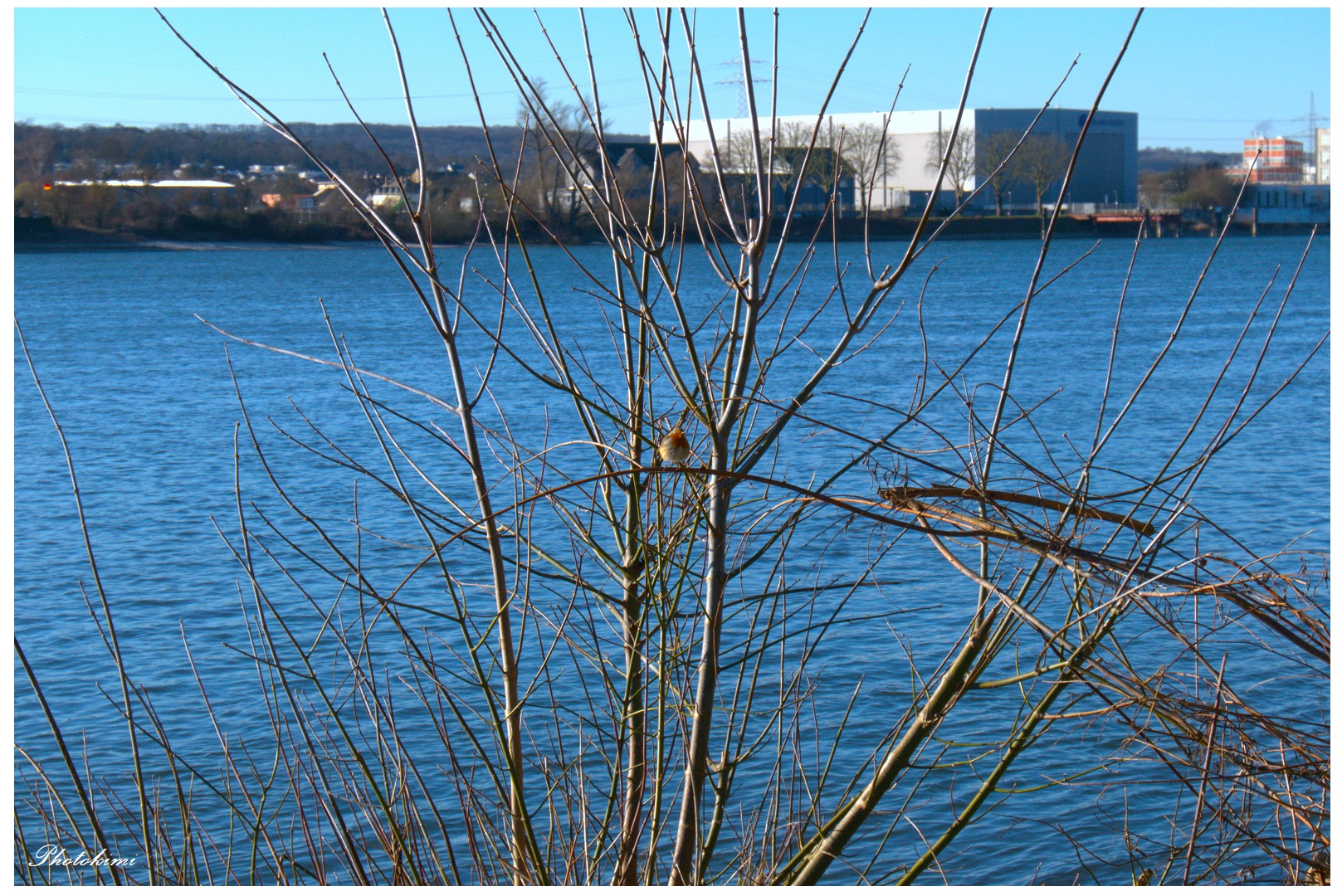 Blick über den blauen Rhein