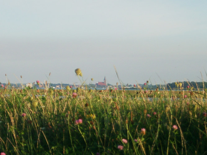 Blick über den Bodden auf Barther Marienkirche