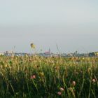 Blick über den Bodden auf Barther Marienkirche