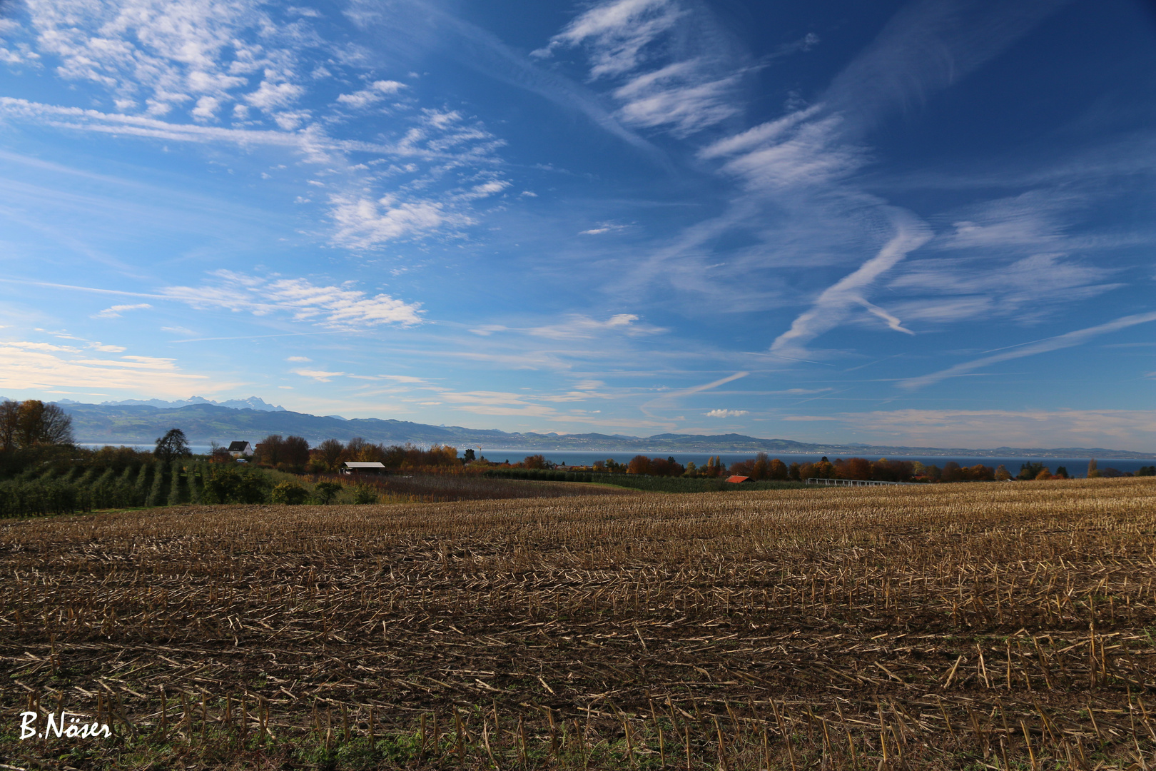 Blick über den Bodensee