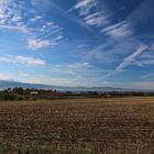 Blick über den Bodensee