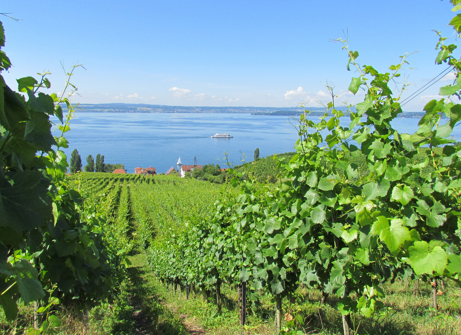 Blick über den Bodensee