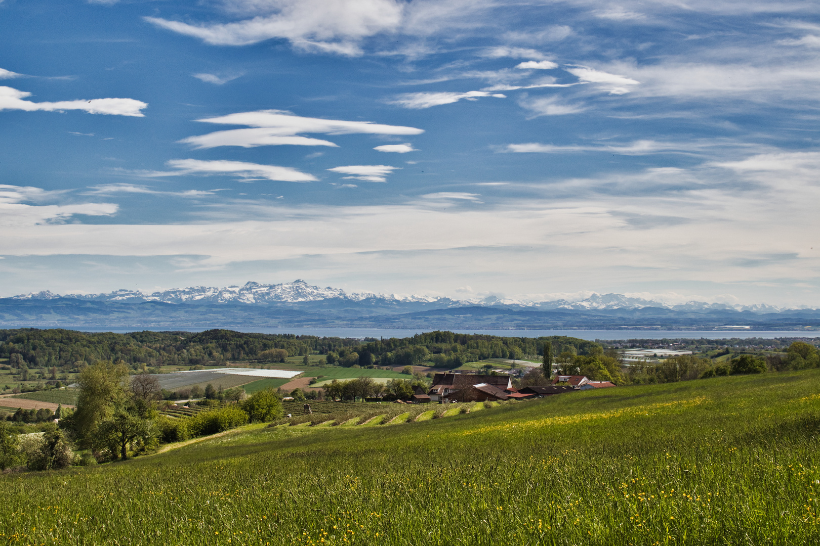 Blick über den Bodensee