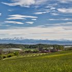 Blick über den Bodensee