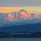 Blick über den Bodensee