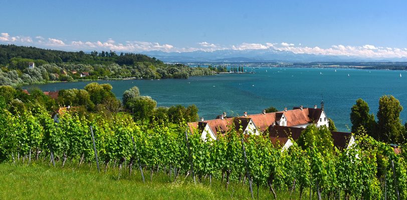 Blick über den Bodensee.....