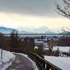 Blick über den Bodensee