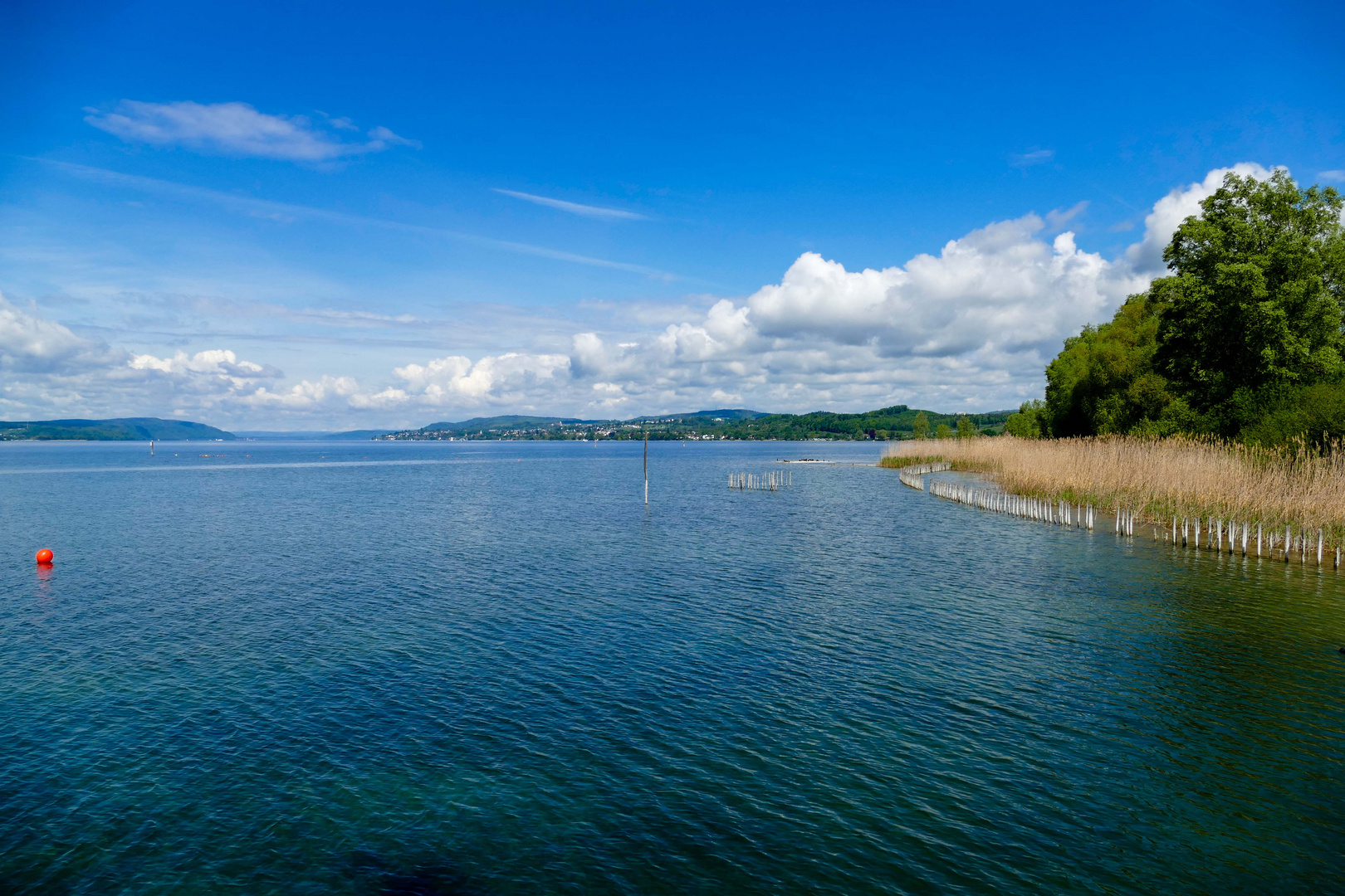 Blick über den Bodensee von den Pfahlbauten Unterruhldingen Foto & Bild