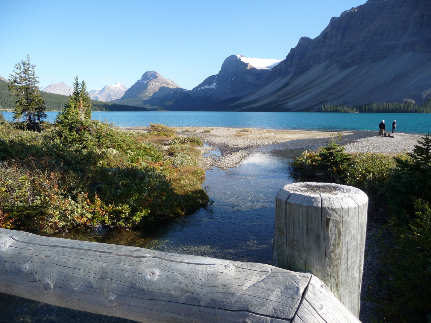 Blick über den Bow Lake