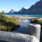 Blick über den Bow Lake