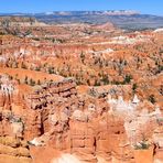 Blick über den Bryce Canyon