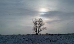 Blick über den Deich bei Schneetreiben und Gegenlicht.