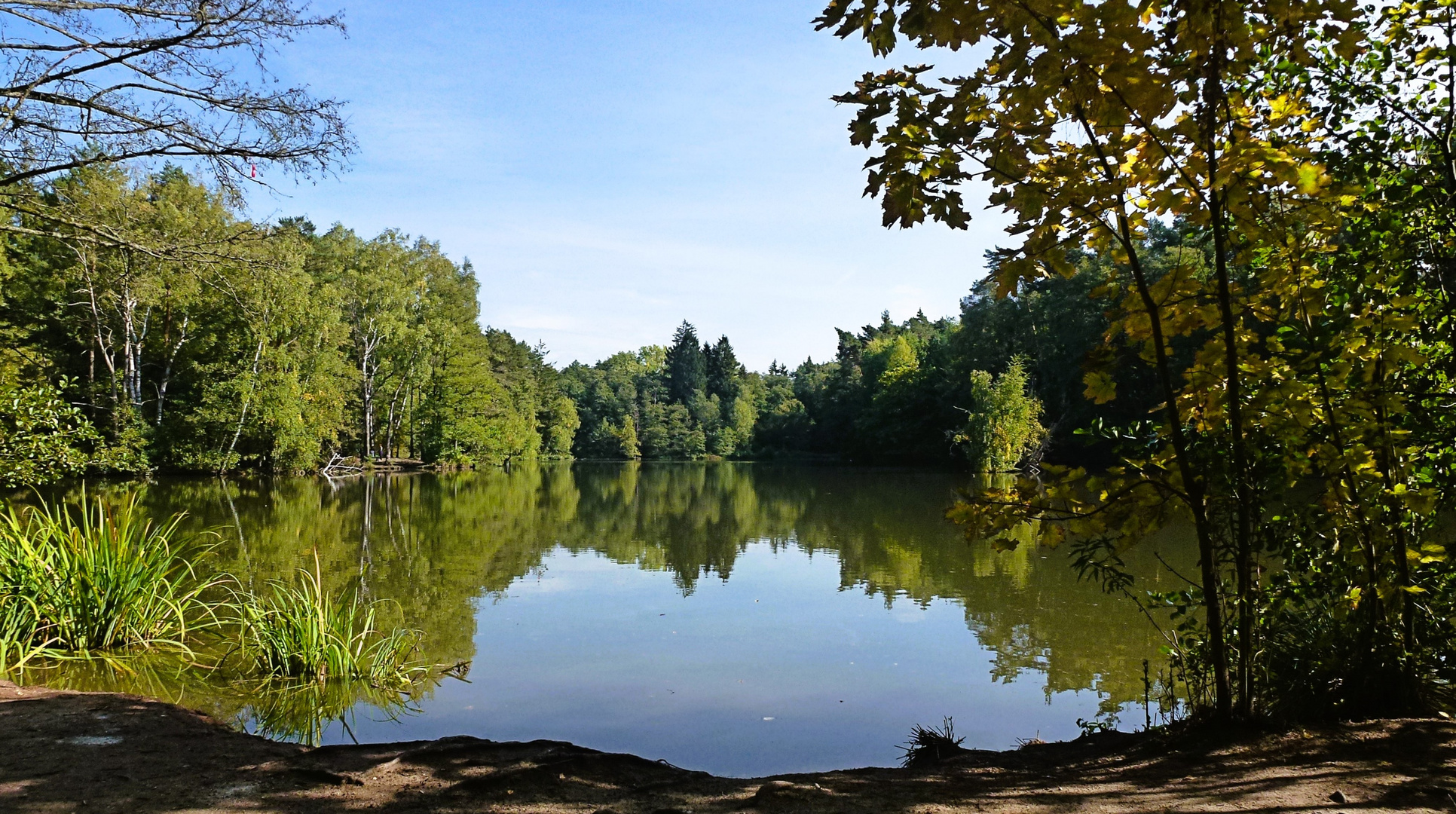 Blick über den Eisweiher