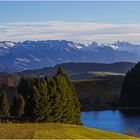 Blick über den Eschacher Weiher