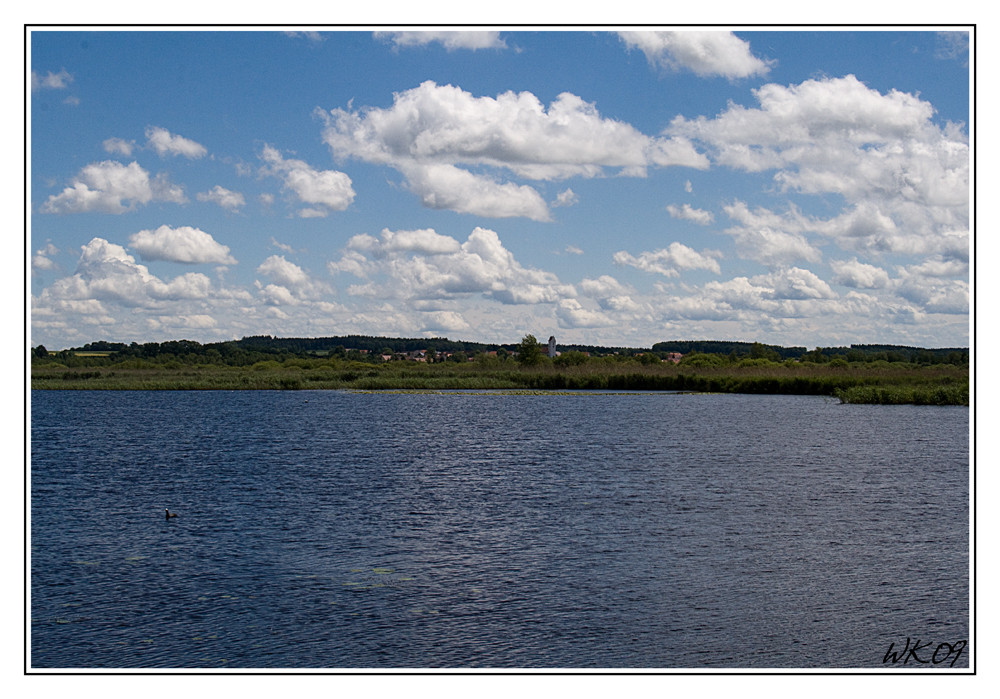 Blick über den Federsee