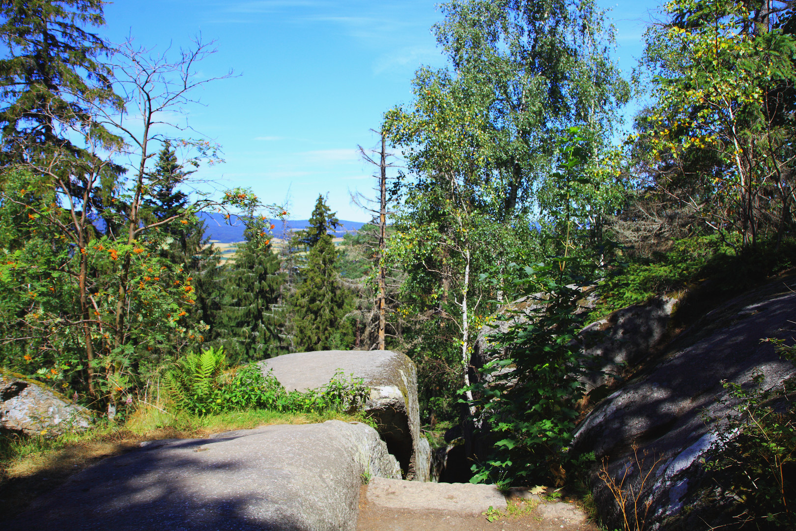 Blick über den Felsen durch die Bäume mit blauen Himmel