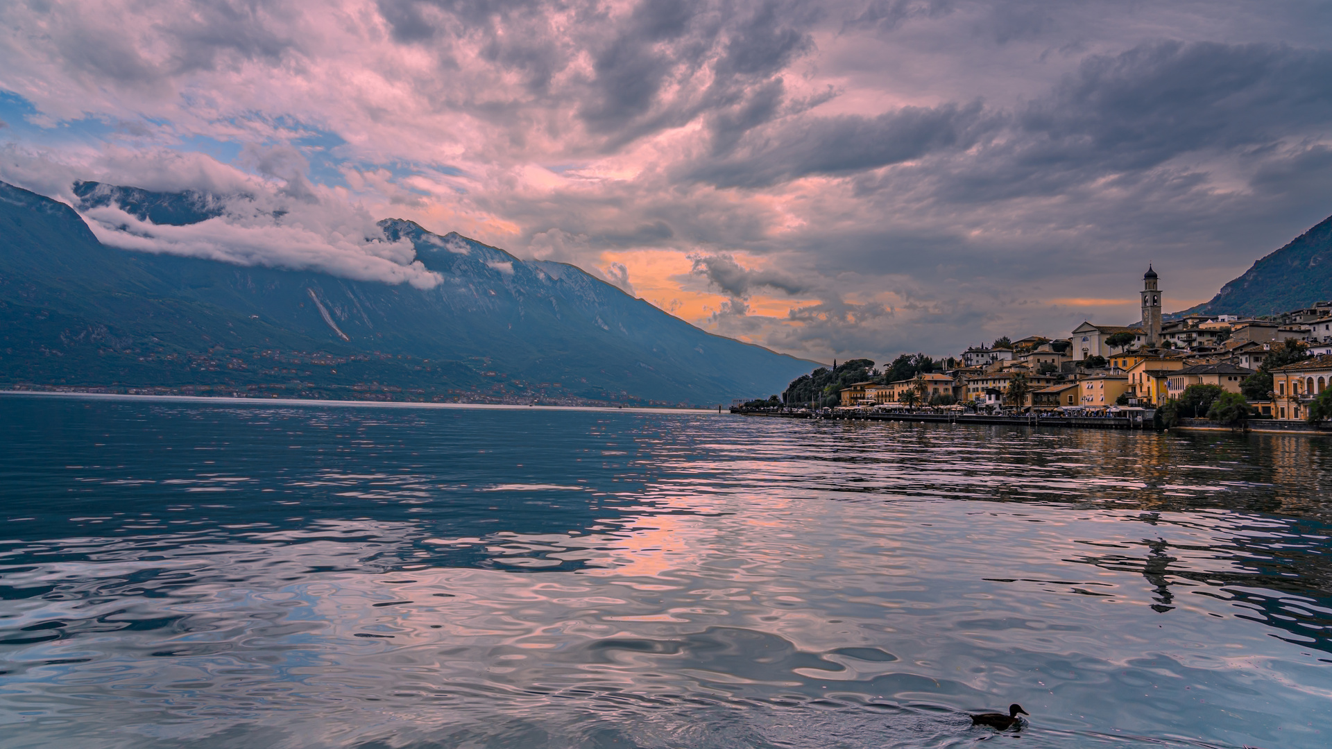 Blick über den Gardasee