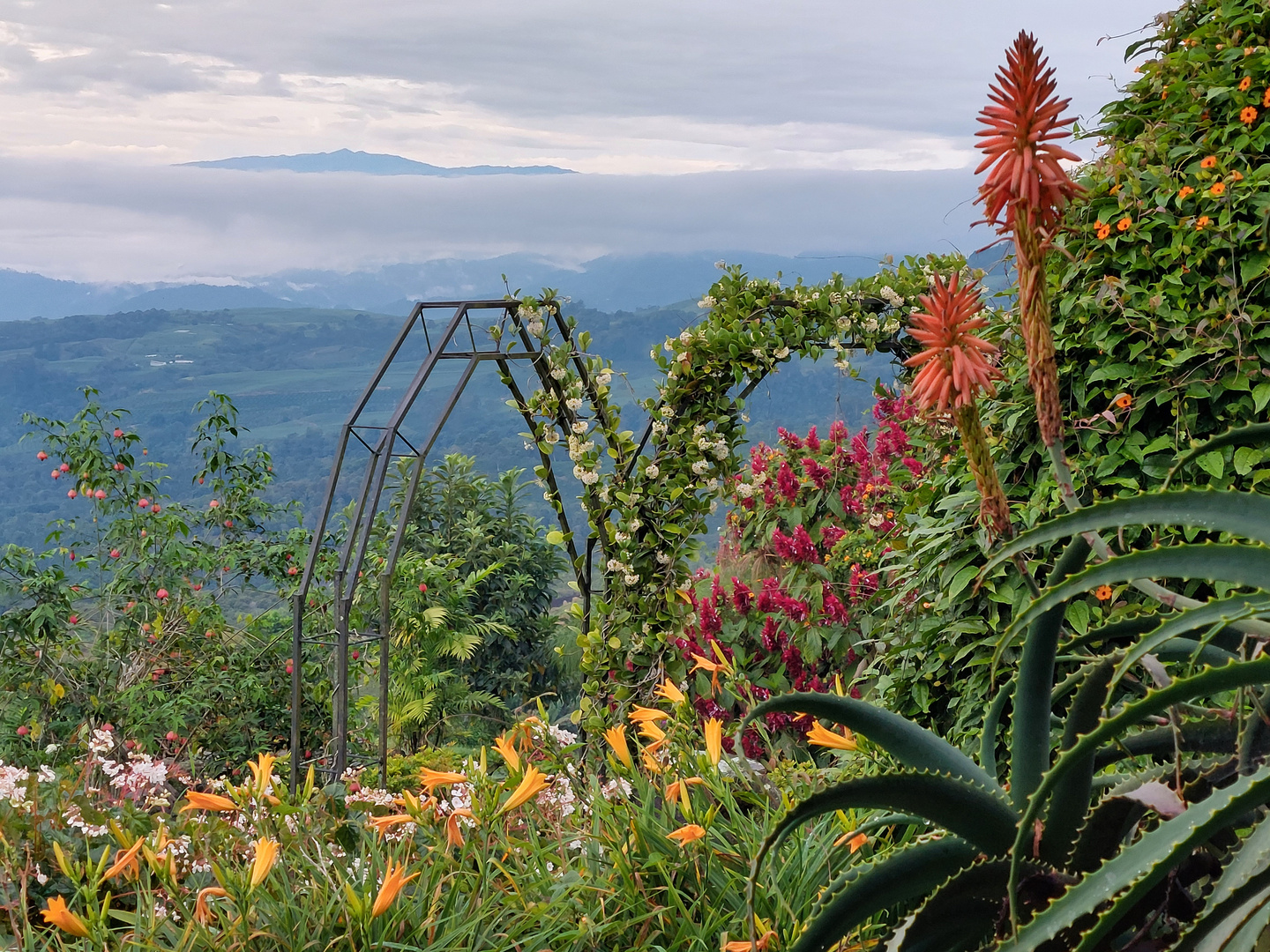 ...Blick über den Garten der Guayabo Lodge zum Cerro de la Muerte...