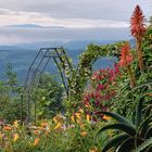 ...Blick über den Garten der Guayabo Lodge zum Cerro de la Muerte...