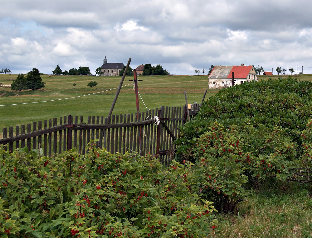 Blick Über Den Gartenzaun