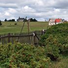 Blick Über Den Gartenzaun