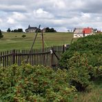 Blick Über Den Gartenzaun