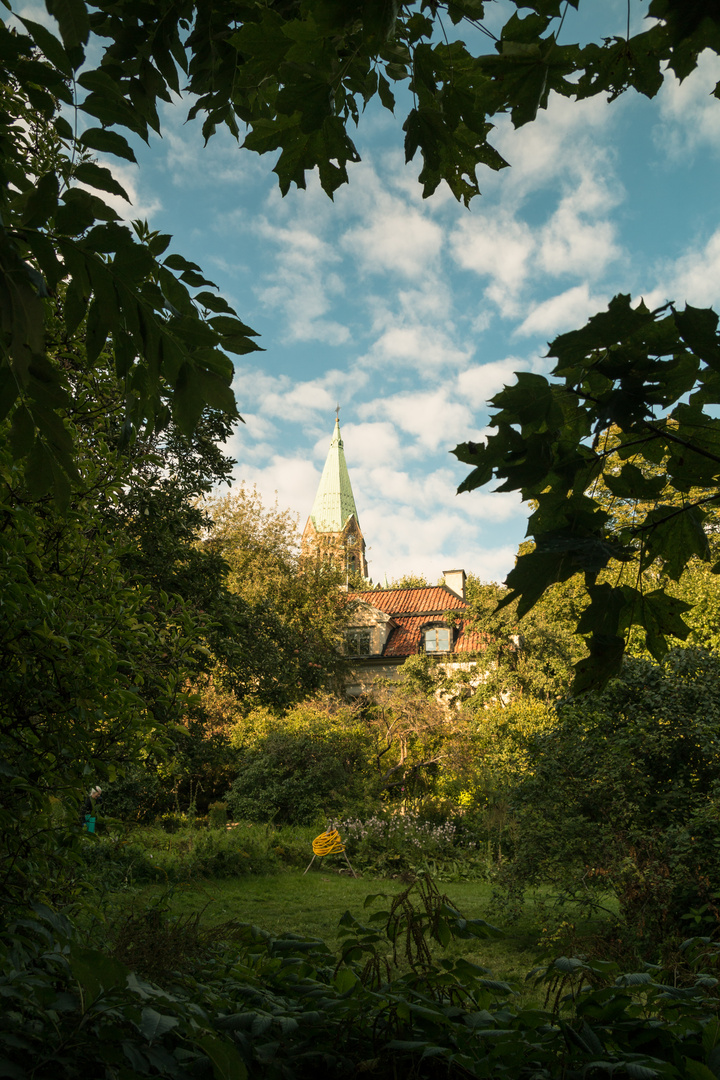 Blick über den Gartenzaun...