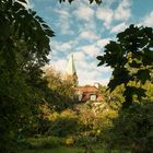 Blick über den Gartenzaun...