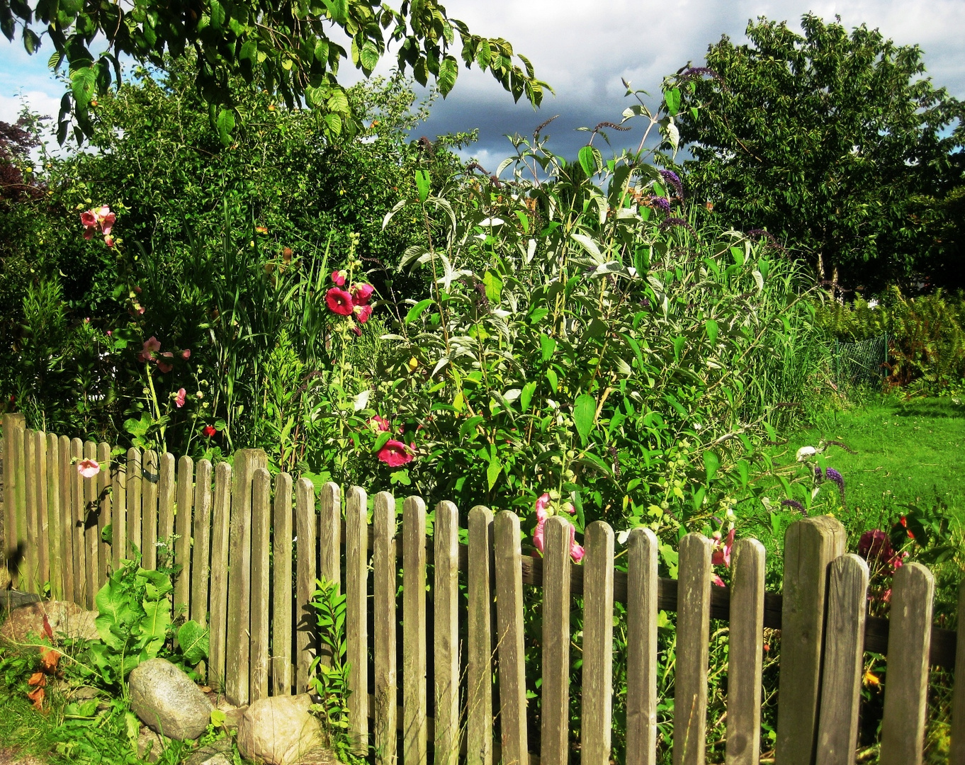 Blick über den Gartenzaun