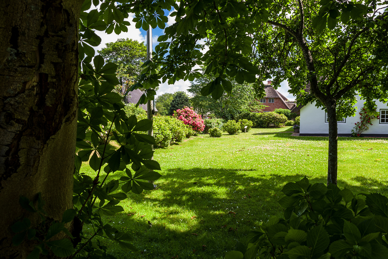 Blick über den Gartenzaun 