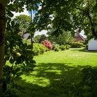 Blick über den Gartenzaun 