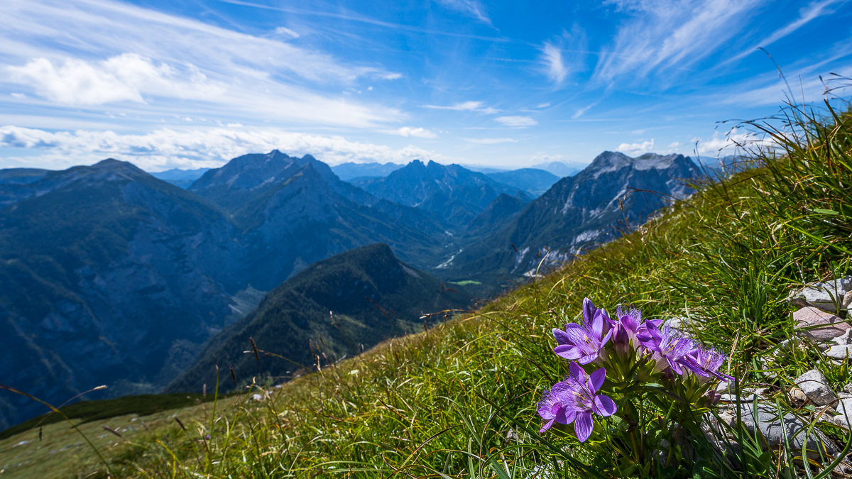 Blick über den Gesäuse- Nationalpark