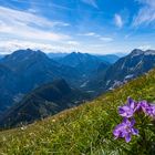 Blick über den Gesäuse- Nationalpark