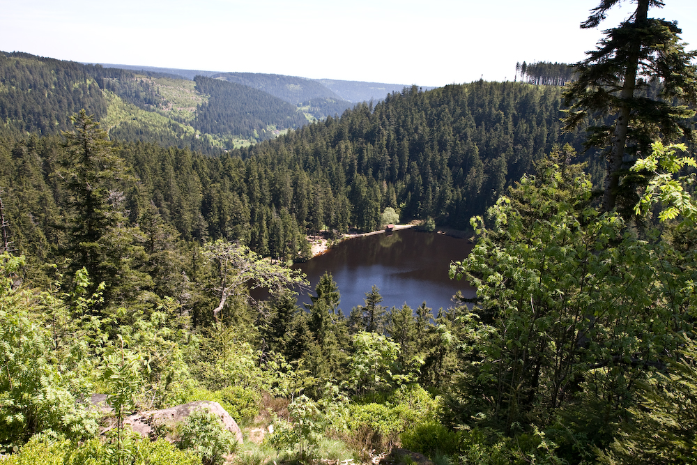 Blick über den Glaswaldsee