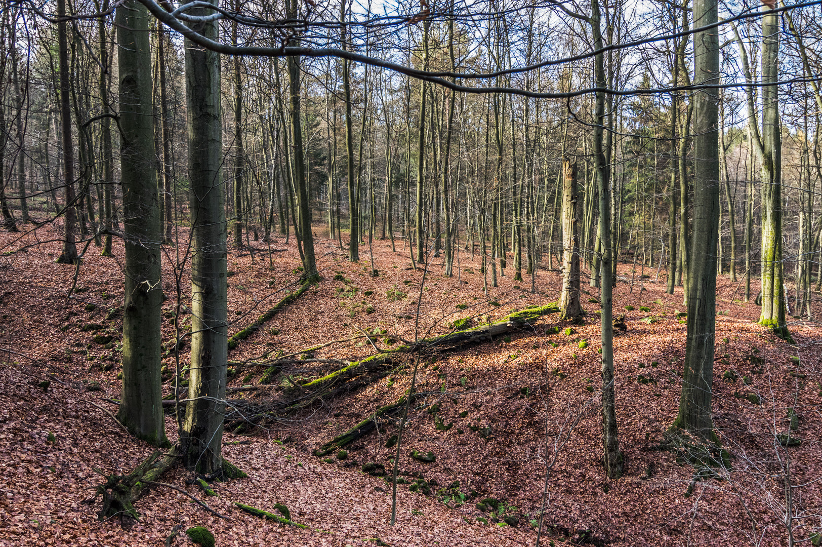 Blick über den Graben