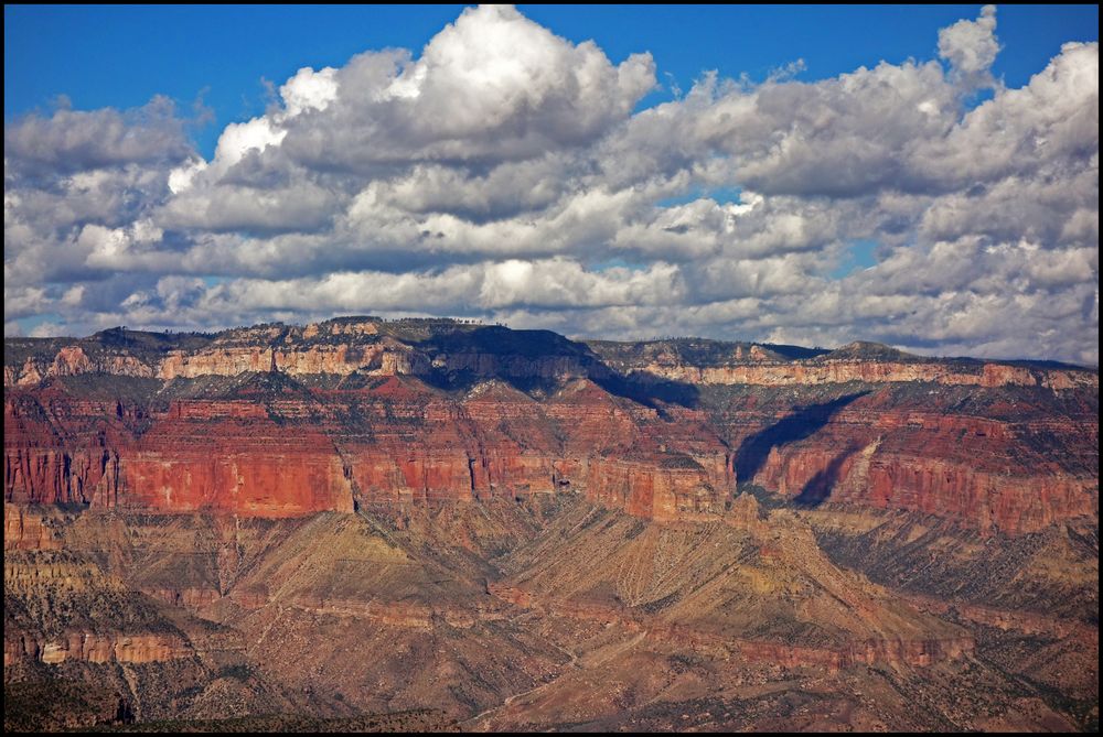 Blick über den Grand Canyon