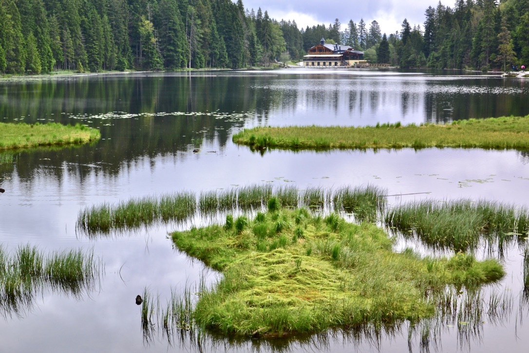 Blick über den  Großen Arbersee