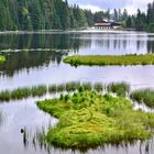 Blick über den  Großen Arbersee