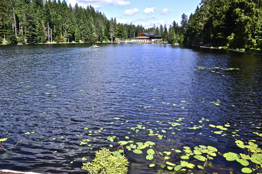 Blick über den Großen Arbersee…