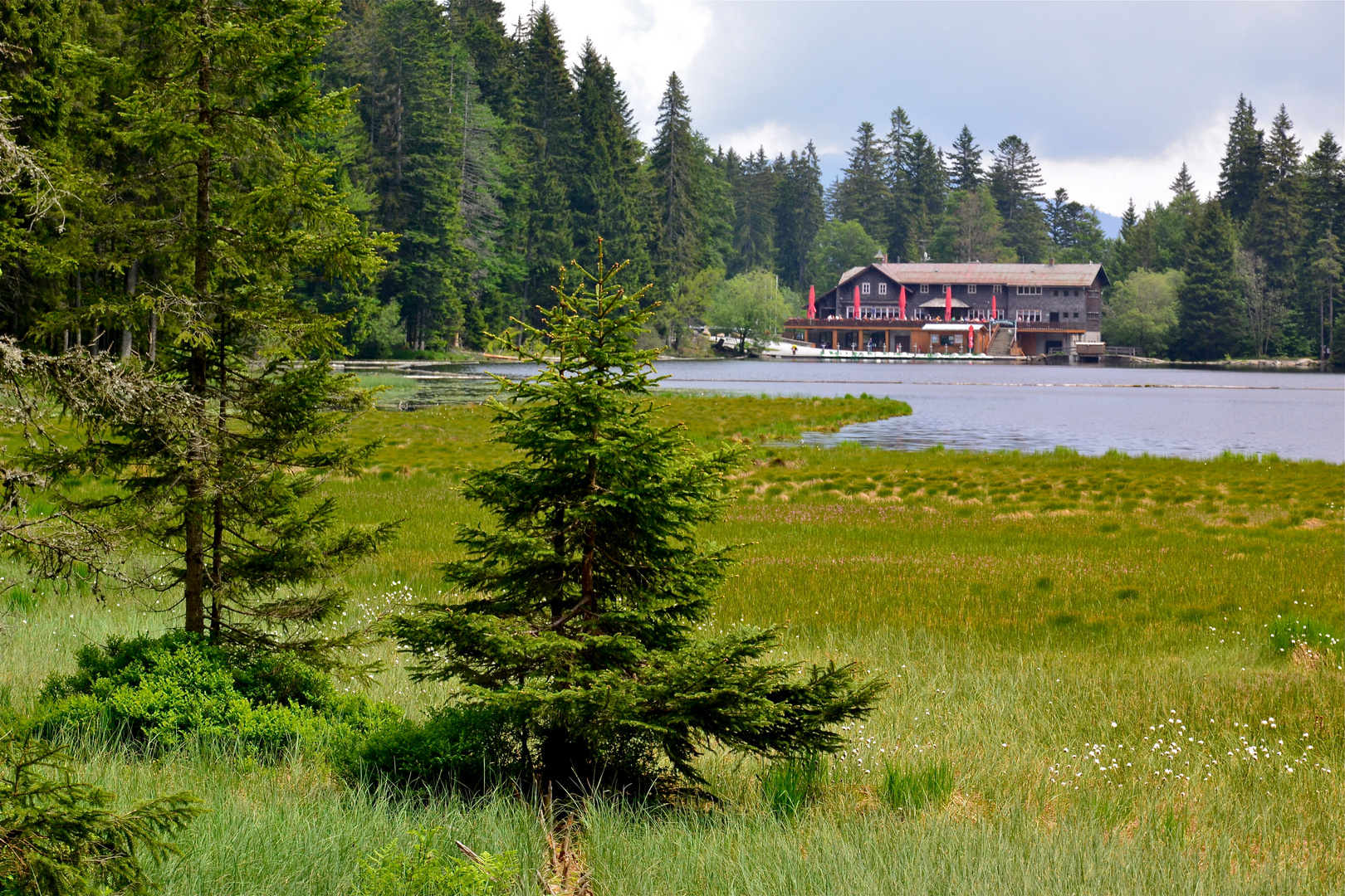 Blick über den Großen Arbersee zum Gasthaus