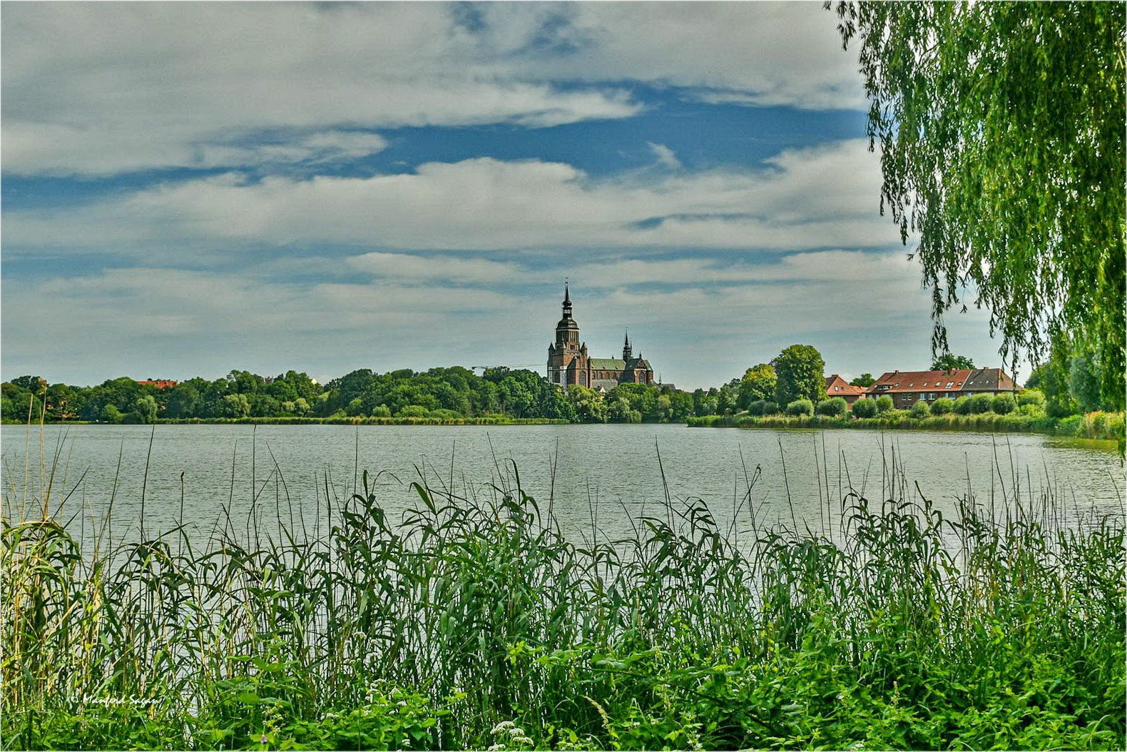 Blick über den großen Frankenteich in Stralsund... 